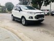 Ford EcoSport 2015 - Xe gia đình đẹp long lanh