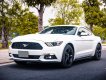 Ford Mustang 2014 - Odo 5v km