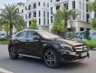 Mercedes-Benz GLA 250 2015 - Màu nâu, nội thất đen