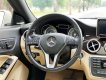 Mercedes-Benz CLA 250 2013 - Màu trắng, xe nhập, 745tr