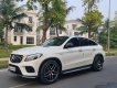 Mercedes-Benz GLE 43 2019 - Cần bán lại xe