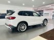 BMW X5 2022 - Giá 4 tỷ 019 triệu - Sẵn giao ngay