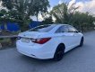 Hyundai Sonata 2010 - Xe thuộc phân khúc D sang trọng