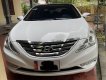 Hyundai Sonata 2010 - Bán xe năm sản xuất 2010, giá 415tr