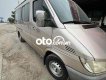 Mercedes-Benz Sprinter Xe Mercedes-Benz 16 chỗ 2005 - Xe Mercedes-Benz 16 chỗ