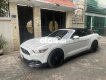 Ford Mustang   Convertible Model 2016 2016 - Ford Mustang Convertible Model 2016