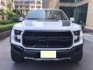 Ford F 150 2019 - Siêu bán tải siêu lướt