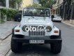 Jeep Wrangler   sản xuất 1990 Hàng Hiếm 1990 - Jeep Wrangler sản xuất 1990 Hàng Hiếm