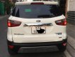 Ford EcoSport 2022 - Màu trắng, 585tr