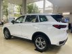Ford Territory 2022 - Đủ phiên bản, đủ màu, giao tháng 1, giá ưu đãi tốt, tặng full gói quà tặng phụ kiện, đăng ký lăn bánh, giao xe tận nơi