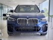 BMW X5 2022 - Xe sẵn giao ngay