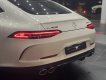 Mercedes-AMG GT 53 2022 - 1 chiếc duy nhất - Giao ngay