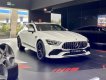 Mercedes-AMG GT 53 2022 - 1 chiếc duy nhất - Giao ngay