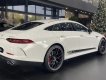 Mercedes-AMG GT 53 2022 - 1 chiếc duy nhất - Giao ngay