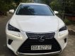 Lexus NX 300 2019 - Xe 1 chủ từ đầu