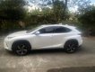 Lexus NX 300 2019 - Xe 1 chủ từ đầu