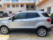 Ford EcoSport 2018 - Bảo dưỡng chính hãng