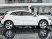 Mercedes-Benz GLA 200 2017 - Giấy tờ đầy đủ, hợp pháp