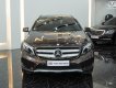 Mercedes-Benz GLA 250 2015 - Nhập khẩu nguyên chiếc