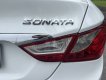 Hyundai Sonata 2010 - Đăng ký lăn bánh 2011