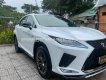 Lexus RX 300 2021 - Đăng ký 1/2022