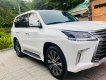 Lexus LX 570 2020 - Xe cực chất