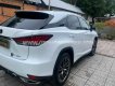Lexus RX 300 2021 - Đăng ký 1/2022
