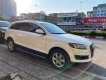 Audi Q7 2009 - Nhập khẩu nguyên chiếc