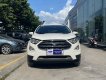 Ford EcoSport 2018 - Chính chủ