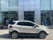 Ford EcoSport 2018 - Chính chủ