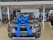 Subaru Forester 2022 - Đồng ánh kim giảm tiền mặt + phụ kiện chính hãng