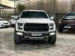 Ford F 150 2019 - Màu trắng, xe nhập