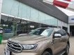 Ford Everest 2019 - Bản đủ số tự động