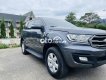 Ford Everest   2019 xám odo :68k 2019 - Ford everest 2019 xám odo :68k