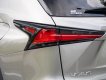 Lexus NX 300 2020 - Cần bán xe odo 1,9 vạn km