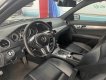Mercedes-Benz C300 2011 - Màu đen