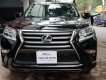 Lexus GX 460 2013 - Màu đen, nội thất nâu
