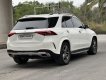 Mercedes-Benz GLE 450 2020 - Trắng, nội thất nâu