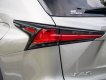 Lexus NX 300 2020 - Xe màu bạc