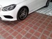 Mercedes-Benz E400 2014 - Xe màu trắng