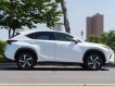 Lexus NX 300 2017 - Xe màu trắng