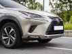 Lexus NX 300 2020 - Xe màu bạc