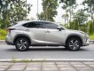 Lexus NX 300 2020 - Xe màu bạc