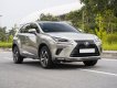 Lexus NX 300 2020 - Xe màu bạc