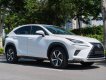 Lexus NX 300 2017 - Xe màu trắng