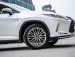 Lexus RX 350 2019 - Cần bán xe màu trắng