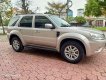 Ford Escape 2013 - Cần bán xe Ford Escape 2013 số tự động, 2 cầu điện tử,xe giá đình