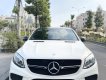 Mercedes-Benz GLE 450 2016 - Trùm mền ít chạy odo thấp 1 đời chủ