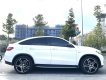 Mercedes-Benz GLE 450 2016 - Trùm mền ít chạy odo thấp 1 đời chủ
