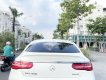 Mercedes-Benz GLE 450 2016 - Trùm mền ít chạy odo thấp 1 đời chủ